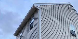 Best Custom Trim and Detailing for Siding  in Northlakes, NC